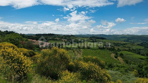 Rustico - casale all'asta, Guardiaregia