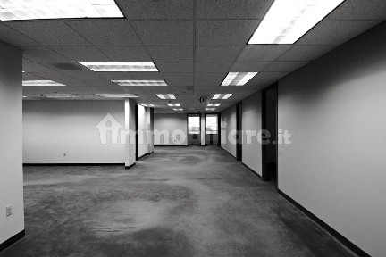 Negozio all'asta, Tito