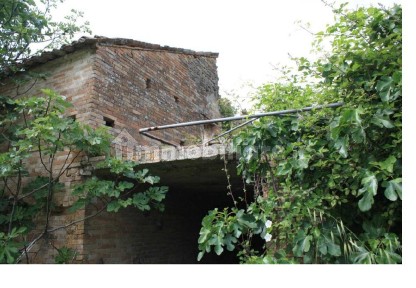 Petritoli, Contrada Paganelli