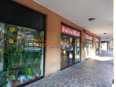 Trezzo sull'Adda, Piazza Giovine Italia, 21