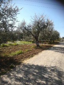 Francavilla al Mare, Contrada Santa Cecilia