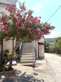 Bilocale Strada dei Canneti 33, Brecciarola, Chieti
