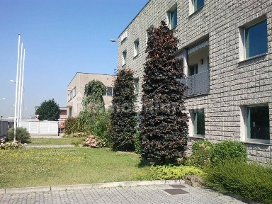 Ufficio - Studio in Affitto