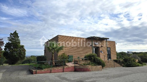 Tabaccheria in Vendita