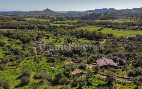 Azienda agricola in Vendita