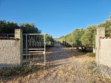 Azienda agricola all'asta Strada Statale 128, Barrali