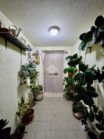 Villa a schiera via Giovanni XXIII 53, Centro, Alfonsine