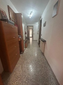 Ravenna, Alberti - Galilei, Viale Filippo Brunelleschi