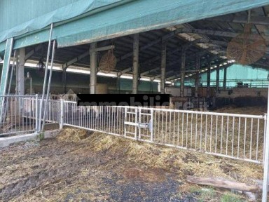 Azienda agricola all'asta via Roma, 39, Capovalle