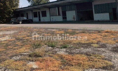 Capannone all'asta via Argine Filippina, Sissa Trecasali