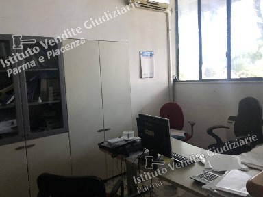 Capannone all'asta Loc. Coltaro di Sissa, Strada Argine Filippina, Sissa Trecasali