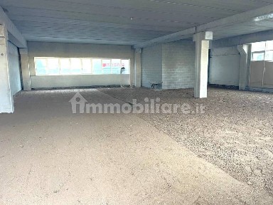 Parma, Vigatto, Strada Martinella Alberi