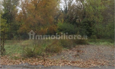 Capannone all'asta via Langhirano, Langhirano