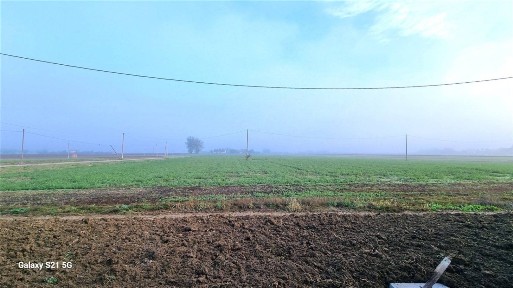 Capannone in Vendita