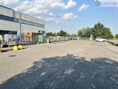 Capannone in Affitto