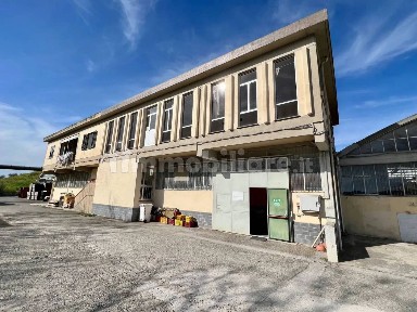 Capannone in Vendita