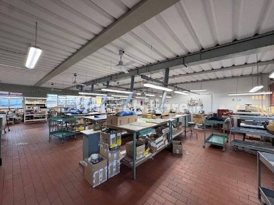 Scandicci, Viale Europa