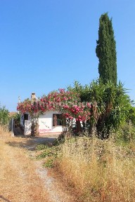 Villa unifamiliare via Renato Guttuso 10, Centro, Cinisi