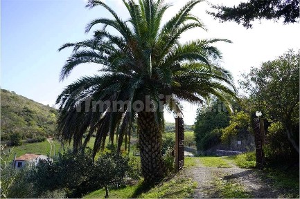 Villa bifamiliare c/da PISANO, Centro, Pollina