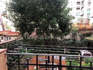 Firenze, Borgo Ognissanti - Il Prato, Borgo Ognissanti, 80