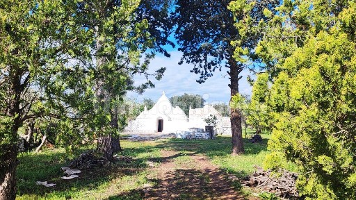 Trullo Strada Montefellone zona H, Martina Franca