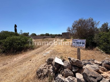 Trullo via 11b 16, Manduria