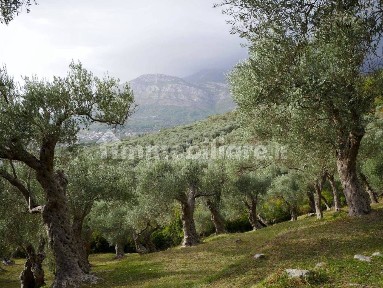 Rustico - casale all'asta, Assemini