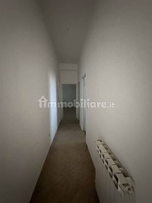 Scarlino