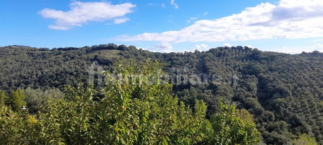 Trilocale ottimo stato, primo piano, Magliano in Toscana