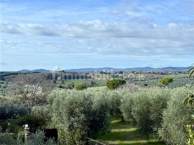 Appartamento via della Costituzione 1, Centro, Magliano in Toscana