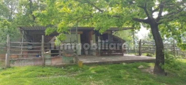 Appartamento all'asta frazione Elmo, Sorano
