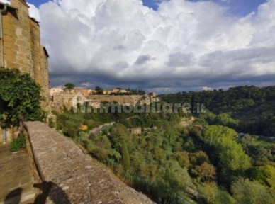 Appartamento all'asta vicolo delle Riforme 39, Pitigliano
