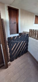 Bilocale buono stato, primo piano, Giglio Campese, Isola del Giglio