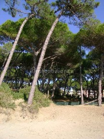 Follonica, Via Lago di Misurina, 6