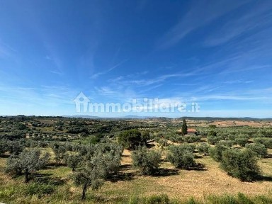 Magliano in Toscana, Via Provinciale, 31