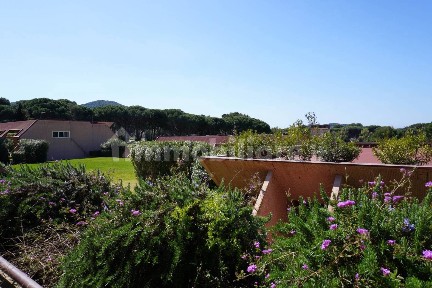 Castiglione della Pescaia, Via del Gualdo