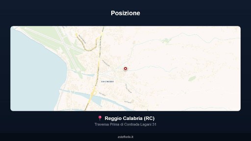 Appartamento all'asta traversa Prima di Contrada Lagani 31, Reggiolo