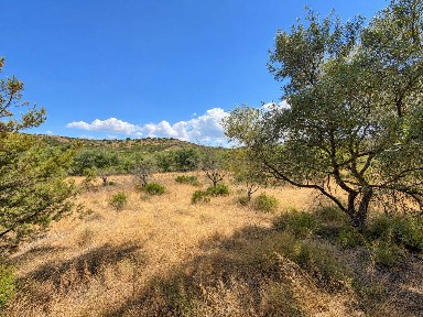 Terratetto unifamiliare Localita Cireddu, Snc, Maracalagonis