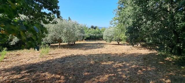 Villa unifamiliare via Montefabbri, Vallefoglia