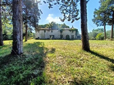 Villa unifamiliare, da ristrutturare, 500 m², Mombaroccio